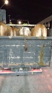 https://mail.gardatipikornews.com/tim-puma-polres-lotara-berhasil-amankan-pelaku-pencurian-hp