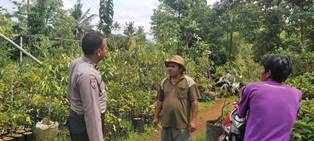 https://mail.gardatipikornews.com/eksistensi-bhabinkamtibmas-polsek-warudoyong-pantau-kegiatan-posyandu