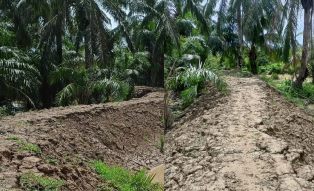 https://mail.gardatipikornews.com/warga-kampung-pabuaran-rw-01-lakukan-baksos-secara-mobile