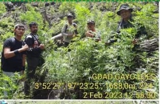 https://mail.gardatipikornews.com/danrem-063-sunan-gunung-jati-terima-paparan-para-dandim-jajaran-korem-063-sunan-gunung-jati