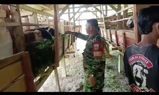 https://mail.gardatipikornews.com/untuk-pertama-kalinya-wakapolri-melaksanakan-kunjungan-kerja-kunker-kemapolda-sumsel