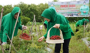 https://mail.gardatipikornews.com/sambut-natal-dan-tahun-baru-polres-cianjur-laksanakan-apel-gelar-pasukan-ops-lilin-lodaya-2024