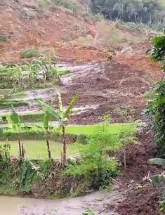 https://mail.gardatipikornews.com/kepala-desa-cibeuteung-muara-asep-suhendar-bersama-sekcam-ahmad-rosyadi-hadir-dalam-kegiatan-pengajian-bulanan-mui-kecamatan-ciseeng-tahun-2024