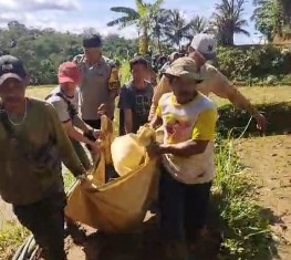 https://mail.gardatipikornews.com/tim-jibom-brimob-polda-jabar-lakukan-sterilisasi-gereja-di-palabuhanratu-jelang-perayaan-natal-dan-tahun-baru