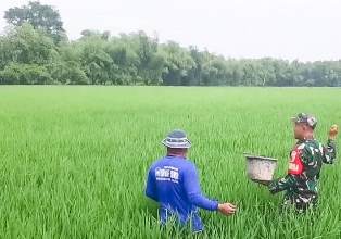https://mail.gardatipikornews.com/ormas-laki-aceh-timur-desak-polda-aceh-dan-kejati-aceh-periksa-lhp-bpk-aceh-timur-ta-2021