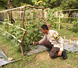 https://mail.gardatipikornews.com/polsek-mataram-sukses-panen-bersama-sayuran-dukung-program-ketahanan-pangan-nasional