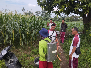 https://mail.gardatipikornews.com/diduga-mencuri-hp-di-conter-box-dua-pria-diamankan-unit-reskrim-polsek-selaparang