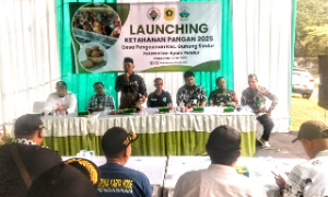 https://mail.gardatipikornews.com/tgb-dan-uas-berbeda-jalan-bertemu-tujuan