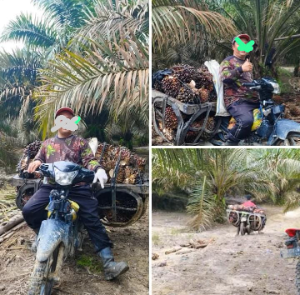 https://mail.gardatipikornews.com/ketua-lsm-maung-provinsi-riau-apresiasi-lanal-dumai-dalam-pencegahan-peredaran-narkoba