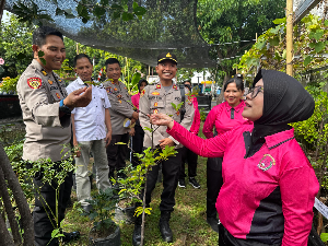 https://mail.gardatipikornews.com/polda-ntb-gelar-lomba-kesamaptaan-sambut-hari-bhayangkara-ke79