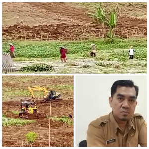https://mail.gardatipikornews.com/lsm-rib-resmi-laporkan-4-paket-pengadaan-sd-dilingkungan-dinas-pendidikan-kabupaten-sukabumi