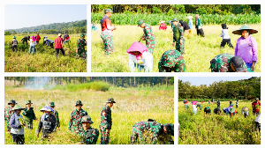 https://mail.gardatipikornews.com/satgas-tmmd-ke-125-buktikan-bahwa-tni-hadir-tak-hanya-menjaga-akan-tetapi-membangun