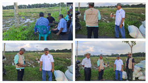 https://mail.gardatipikornews.com/miriswarga-kota-bogor-luput-perhatian-dari-pemerintahnya-ini-selengkapnya