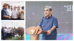https://mail.gardatipikornews.com/pengrusakan-kelapa-sawit-pt-djl-masuk-tahap-penyelidikan-polda-sultra-ini-penyampaian-kuasa-hukum-pt-djl