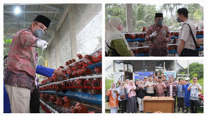 https://mail.gardatipikornews.com/kanim-kelas-i-non-tpi-bekasi-hadirkan-layanan-data-keimigrasian-hadir-secara-digital-permohonan-data-kini-lebih-mudah-dan-transparan