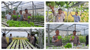https://mail.gardatipikornews.com/dua-ruang-kelas-smpn-1-parakansalak-ambruk-warga-sekitar-panik