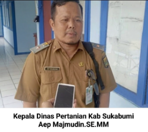 https://mail.gardatipikornews.com/pers-adalah-pilar-ke4-negaraketum-pwdpi-sudah-saatnya-negara-perhatikan-nasib-jurnalis