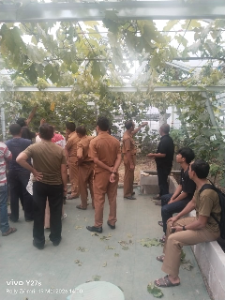 https://mail.gardatipikornews.com/delegasi-pabuaran-optimis-raih-kejuruan-tingkat-kabupaten-sampai-provinsi-di-kopetensi-o2sn-fls2n-dan-pai-tingkat-kabupaten-sukabumi-2026