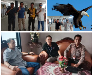 https://mail.gardatipikornews.com/diduga-kayu-tpu-dijual-warga-soroti-sikap-aparat-penebangan-pohon-tpu-bedali-lawang-berujung-jalan-umum-jadi-lokasi-produksi-palet