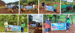 https://mail.gardatipikornews.com/sambut-hut-bhayangkara-ke80-ditpolairud-polda-jambi-dan-polres-tanjab-barat-hijaukan-pesisir-dengan-tanam-mangrove