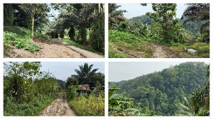https://mail.gardatipikornews.com/imb-terbitan-pemkot-denpasar-jangan-jadi-stempel-pembenar-pelanggar-sempadan-sungai-gallery-kohinoor