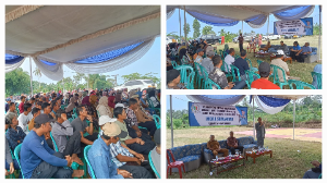 https://mail.gardatipikornews.com/polda-ntb-wisatawan-padati-gili-trawangan-perkuat-pengamanan-kawasan-wisata